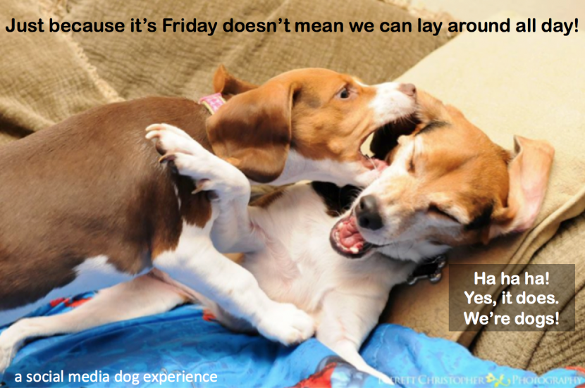 happy friday